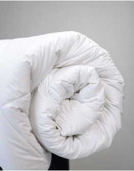 FOUR SEASONS Hotel Blanket